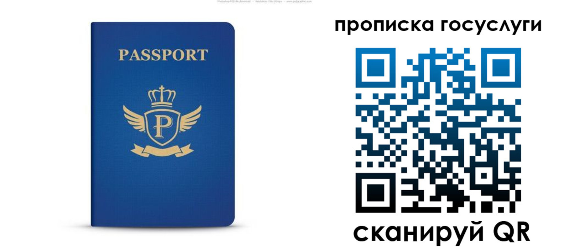 прописка для школы в Шали